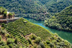 Ribeira Sacra