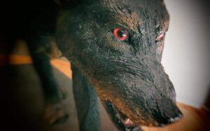Dip, perros vampiros. Por Terres del Mestral