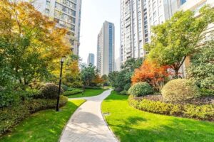 Camilo Ibrahim Issa - Paisajismo urbano y jardinería ¡Características y ventajas! - FOTO