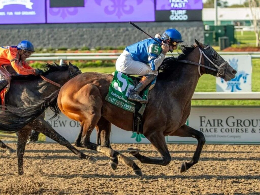 Catching-Freedom-estara-en-el-Preakness-Stakes.jpg