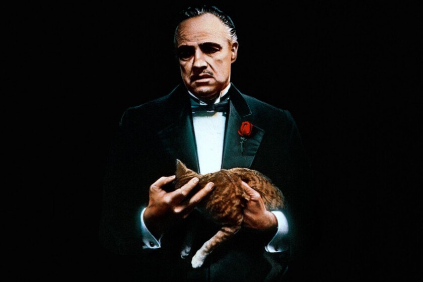El-gato-de-El-padrino-que-casi-arruina-una-de.jpeg