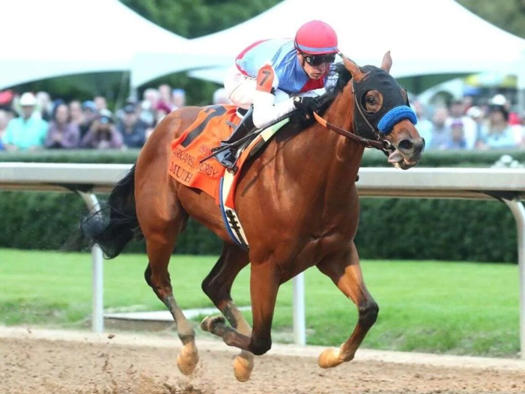 El-potro-Muth-fue-retirado-del-Preakness-por-fiebre.jpg