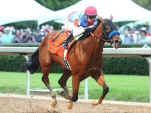 El-potro-Muth-fue-retirado-del-Preakness-por-fiebre.jpg