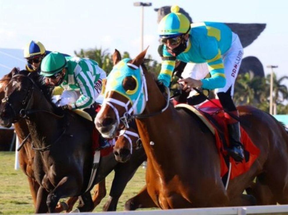 Gaffalione-multado-con-2500-Lider-en-deportes.jpg