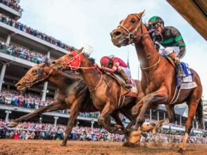Mystik-Dan-en-dudas-para-el-Preakness-Stakes.jpg