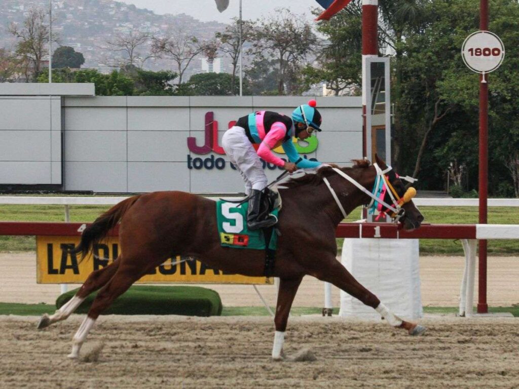 Time-Traveler-reaparecio-ganando-como-un-campeon.jpg