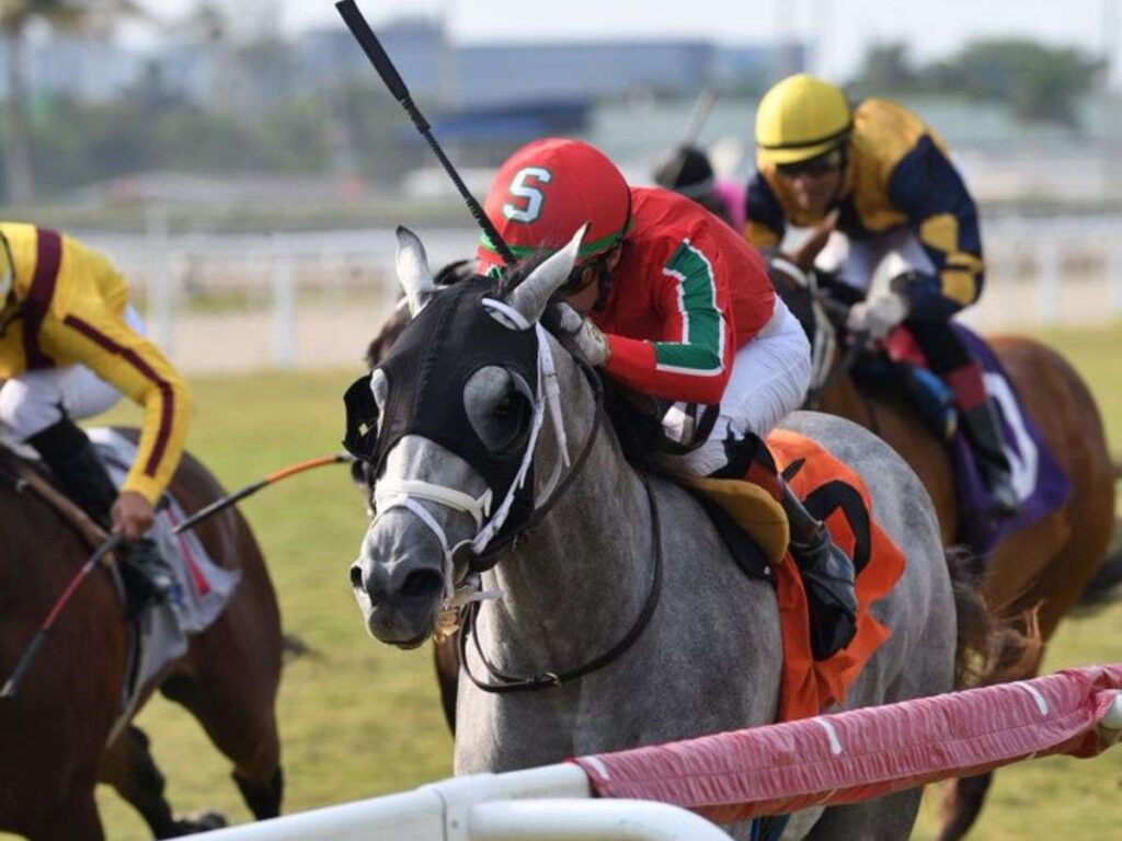 Venezolanos-clasificaron-para-correr-en-Ascot-Inglaterra.jpg