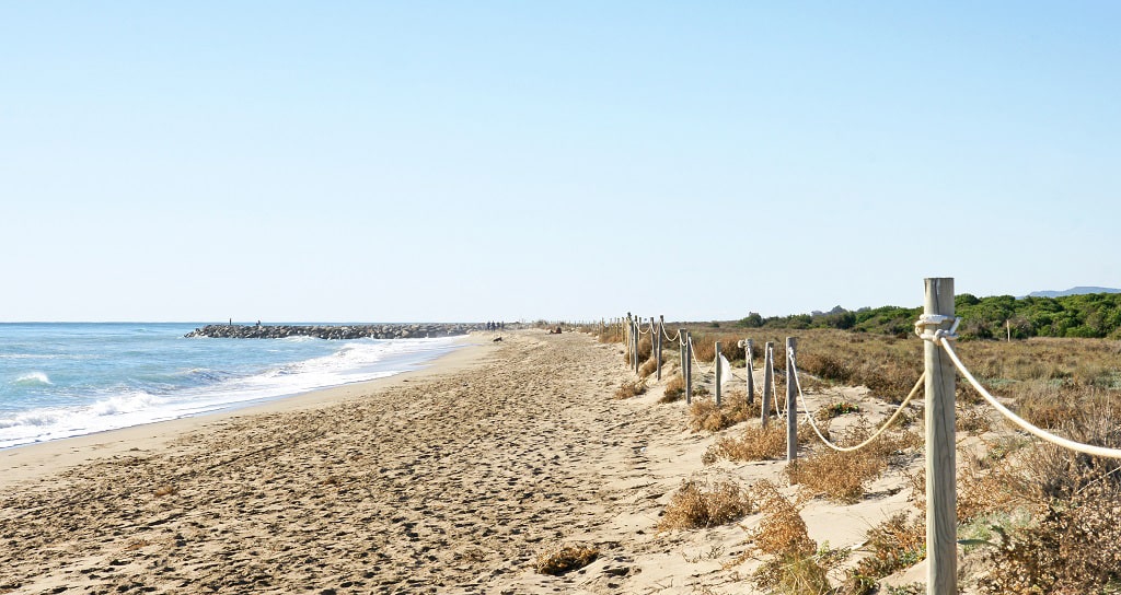 Playa en el Delta del Llobregat