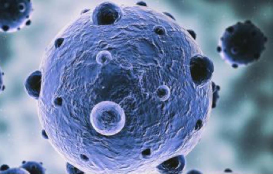¿Es-posible-desactivar-la-resistencia-a-los-antibioticos-de-las.jpg