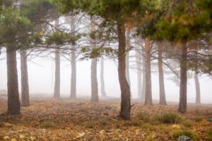 Sierra Nevada en otoño en Andalucía
