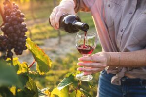 Ruta del Vino en España