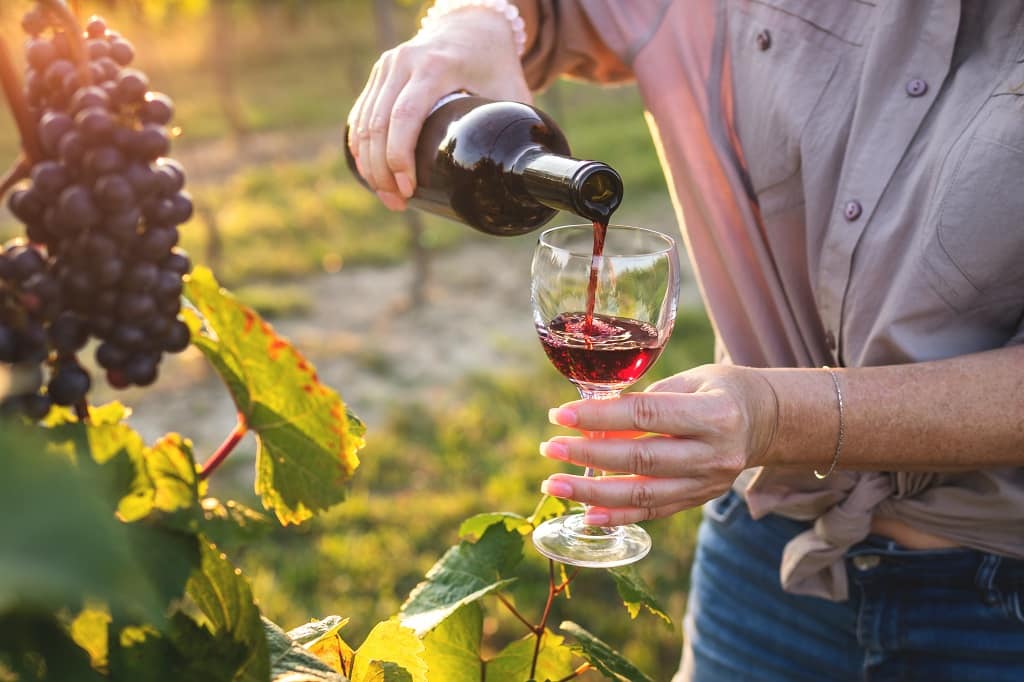 Ruta del Vino en España