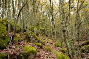 Otoño en Extremadura
