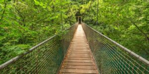 Fragas do Eume, senderismo por las montañas de Pandora