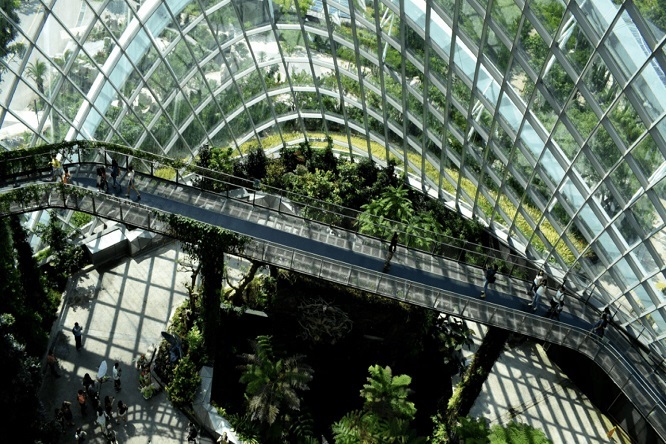 Nelson Rafael Bustamante Abidar - ¡Entérate! Arquitectura biofílica; Qué es ¡Características, ventajas y tendencias! - FOTO