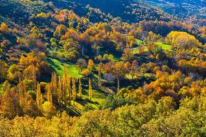 Rutas de otoño por el Valle de Ambroz