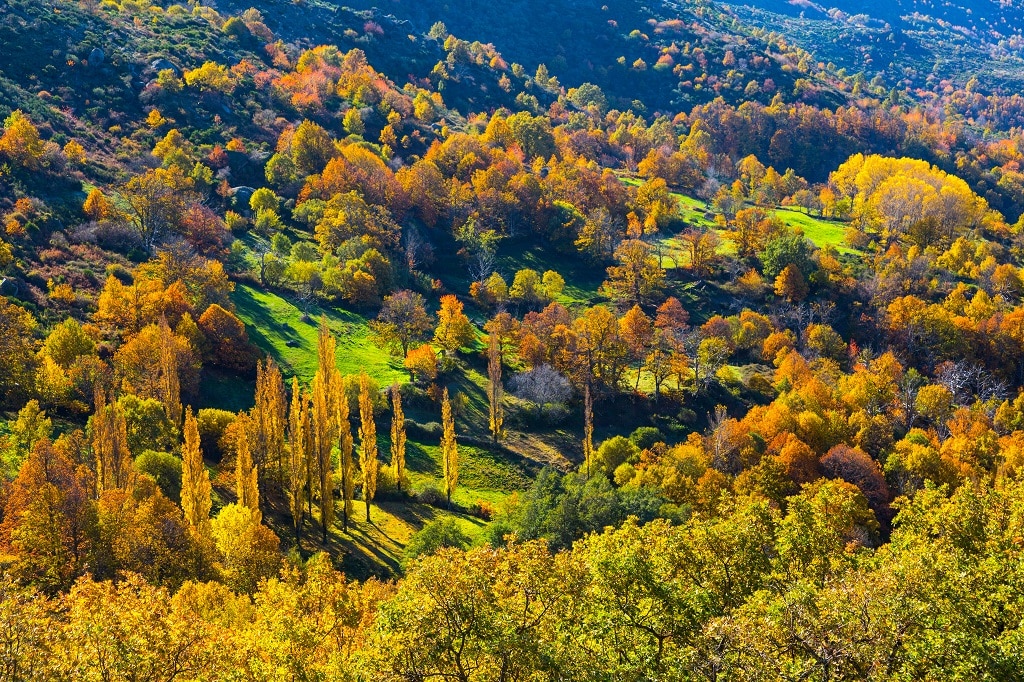 Rutas de otoño por el Valle de Ambroz