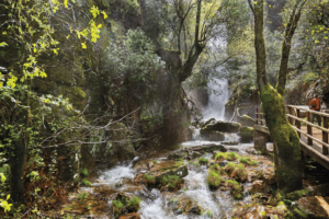 Navalucillos, Cabañeros