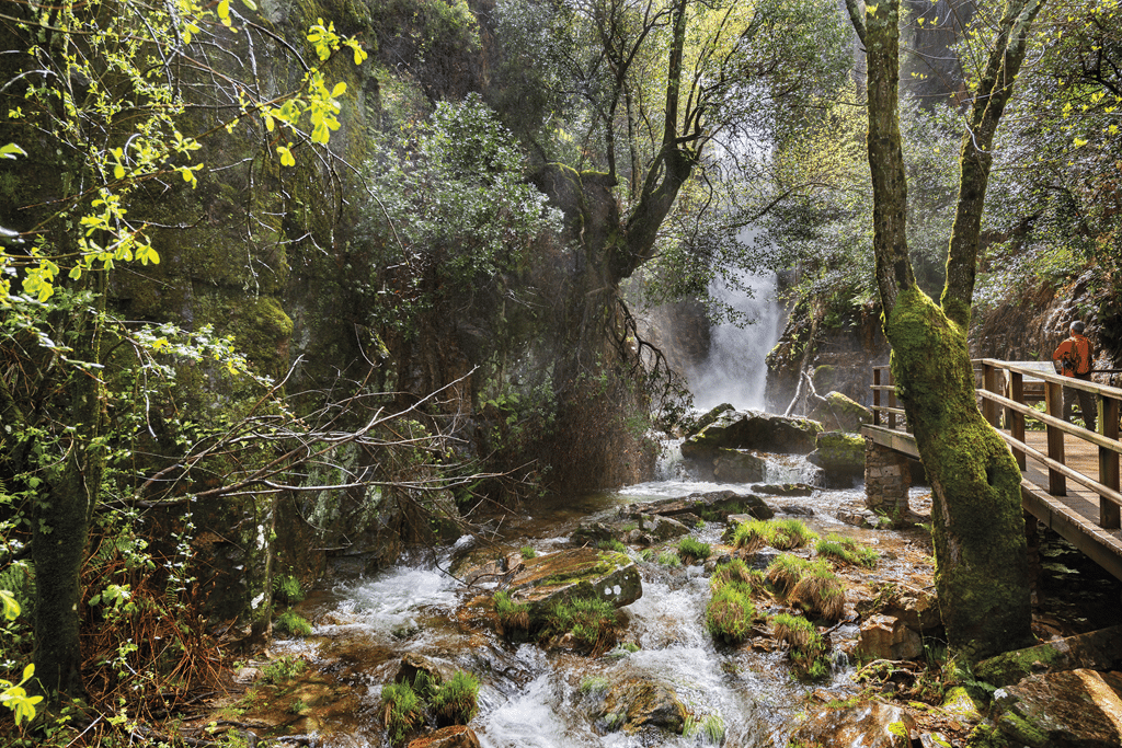 Navalucillos, Cabañeros