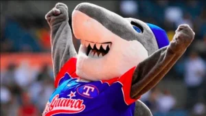 Tiburones-de-La-Guaira-imagen-referencial