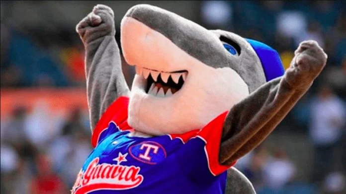 Tiburones-de-La-Guaira-imagen-referencial