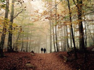 Montseny
