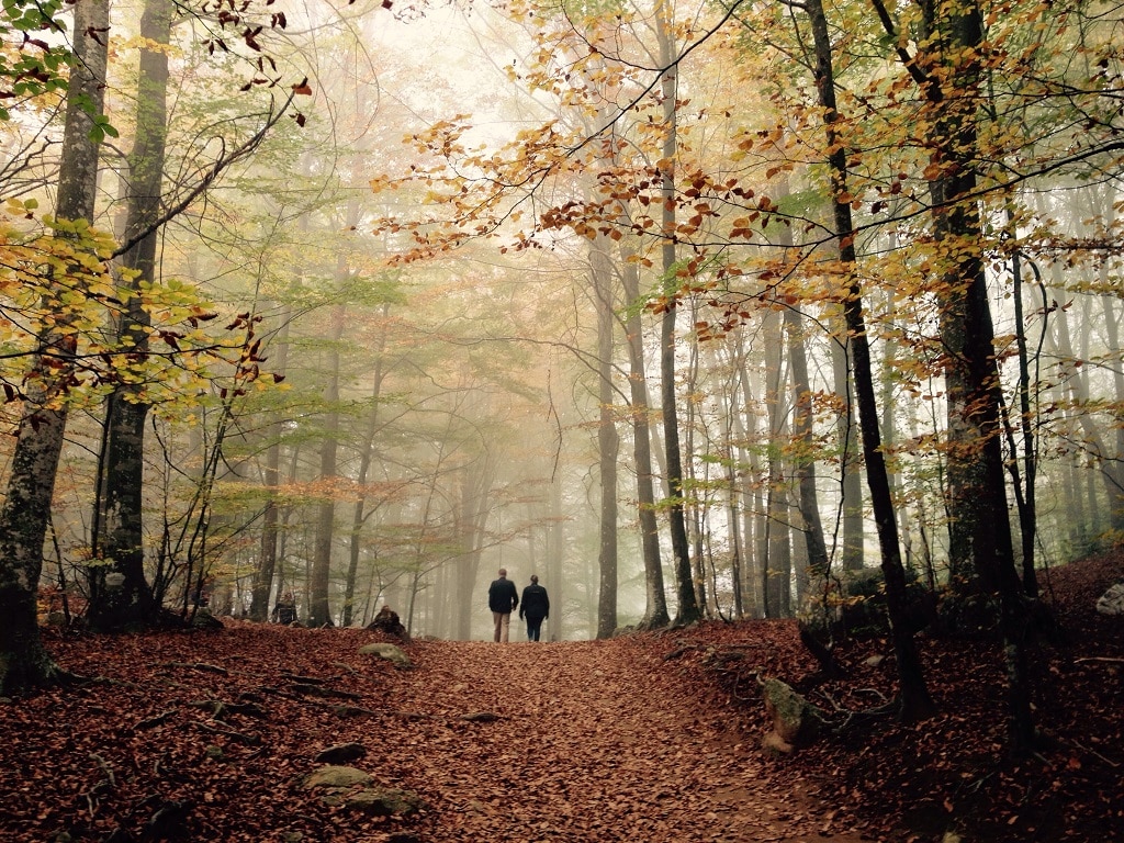 Montseny