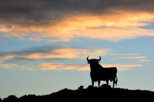 Silueta del toro Osborne. En qué lugares de españa dicen más palabrotas