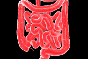 Las-enfermedades-inflamatorias-del-intestino-podrian-detectarse-al-nacer-–.jpg