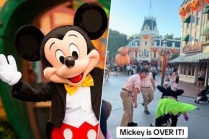 Las-mascotas-Disney-tambien-se-hartan-de-los-visitantes-Asi.jpeg