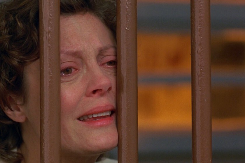 Me-han-usado-como-ejemplo-Susan-Sarandon-afirma-que-esta.jpeg