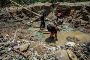 El-Impacto-de-la-Mineria-Ilegal-en-la-Ecologia-Venezolana.png