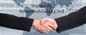 Los-Riesgos-Mas-Comunes-Cubiertos-por-los-Seguros-de-Responsabilidad.png