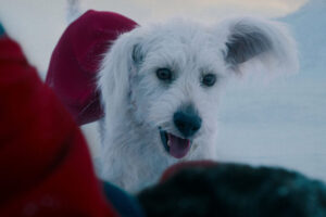 Quien-es-Krypto-la-poderosa-mascota-de-Superman-que-James.jpeg