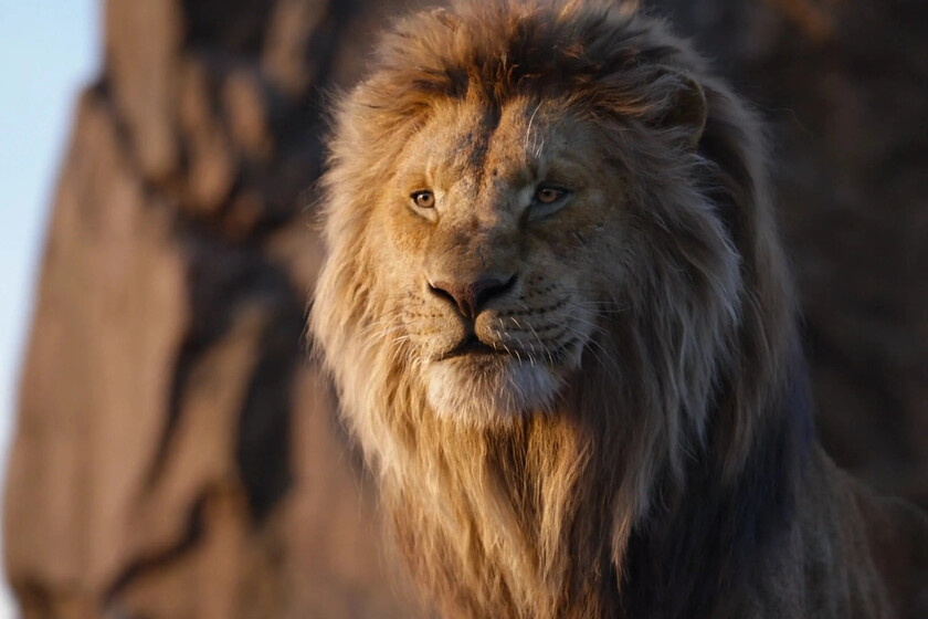 Ya-tenemos-las-primeras-criticas-de-Mufasa-el-rey-leon.jpeg