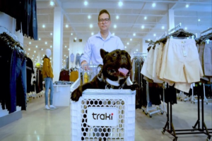 ¿Hay-Tiendas-Traki-que-Acepten-Mascotas.png