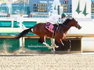 12-aspirantes-a-la-Pegasus-World-Cup.jpg