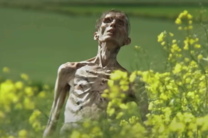 Cillian-Murphy-estara-en-28-anos-despues-pero-no-como.jpeg
