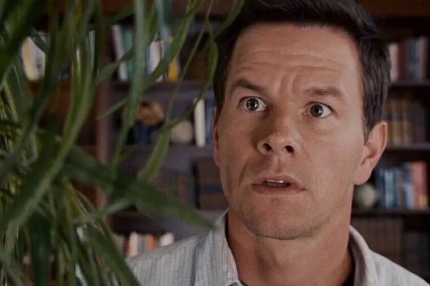 Intente-leer-el-guion-pero-no-lo-entendia-Mark-Wahlberg.jpeg