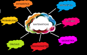 Oswaldo-Karam-Macia-Cuales-son-las-ramas-mas-importantes-de.png