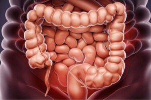 Se-sospecha-de-dos-cepas-dominantes-de-E-coli-como.jpg