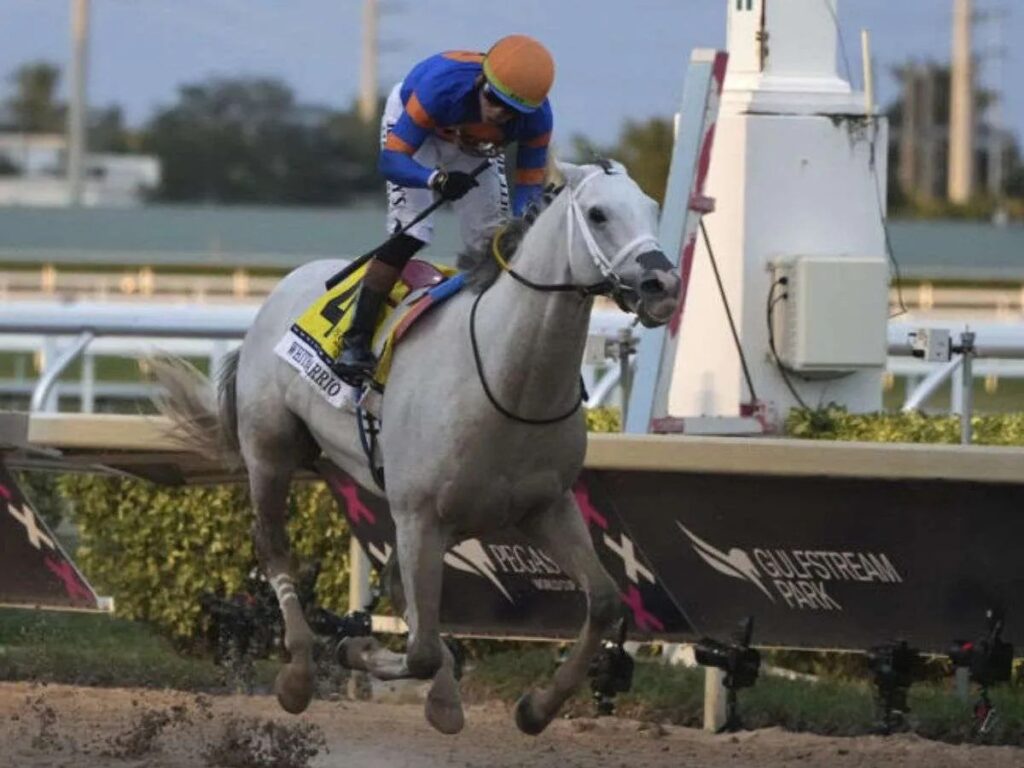 White-Abarrio-dio-un-galope-en-la-Pegasus-World-Cup.jpg