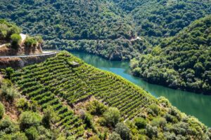 Ribeira Sacra