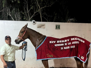 Criollo-Rene-Gomez-triunfa-con-caballos-Cuartos-de-Milla.png