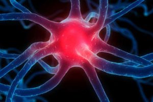 Efectos-del-ejercicio-sobre-la-neuropatia-periferica-inducida-por-la.jpg