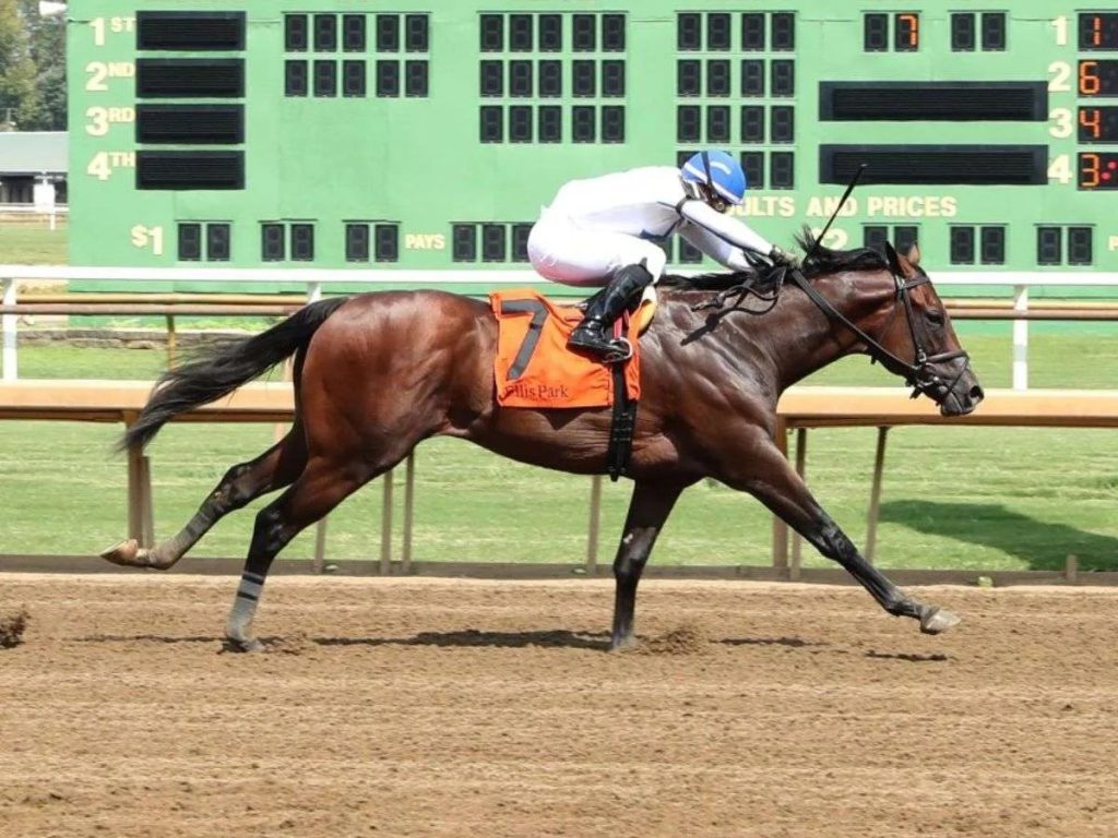 Javier-Castellano-estara-con-Owen-Almighty-en-el-Derby.jpg