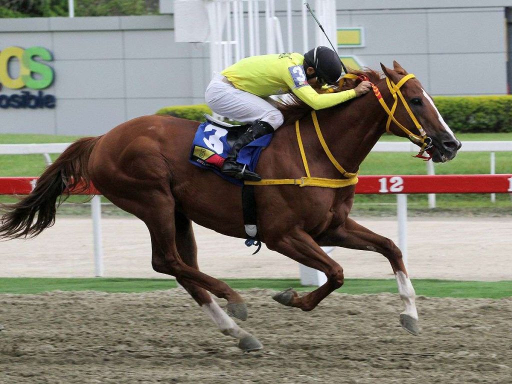 My-Titico-Mate-duplico-en-la-II-Copa-Mundo-Hipico.jpg