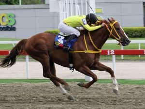 My-Titico-Mate-duplico-en-la-II-Copa-Mundo-Hipico.jpg