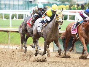 Ruta-al-Derby-de-las-Rosas-finaliza-esta-tarde.jpg
