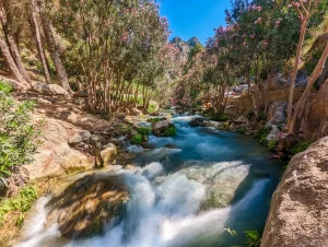 Destinos-refrescantes-en-la-Comunitat-Valenciana.webp.webp